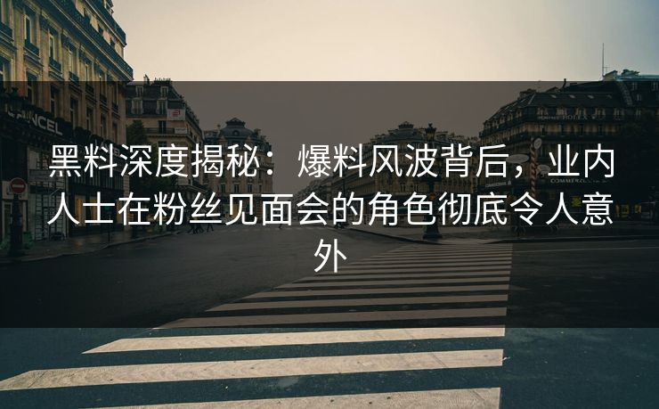 黑料深度揭秘：爆料风波背后，业内人士在粉丝见面会的角色彻底令人意外