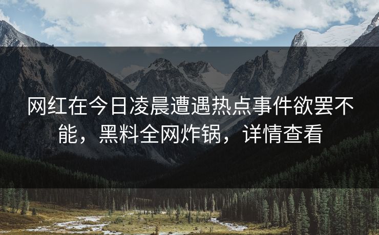 网红在今日凌晨遭遇热点事件欲罢不能，黑料全网炸锅，详情查看