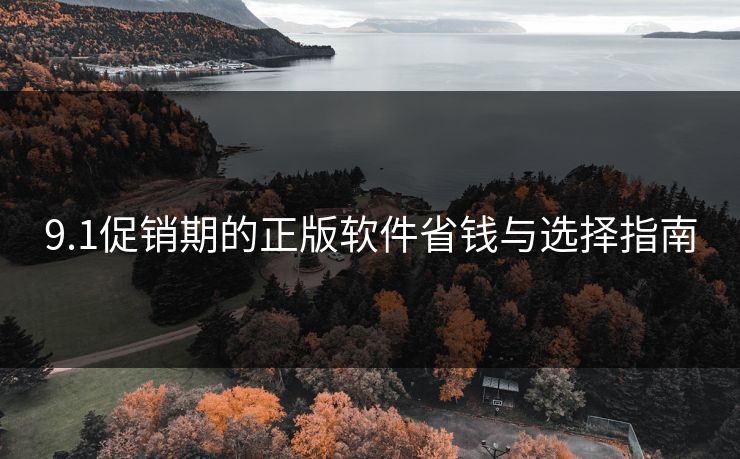 9.1促销期的正版软件省钱与选择指南