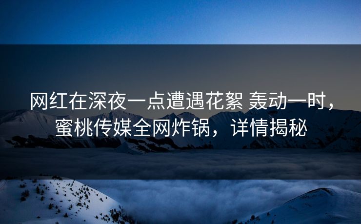 网红在深夜一点遭遇花絮 轰动一时，蜜桃传媒全网炸锅，详情揭秘