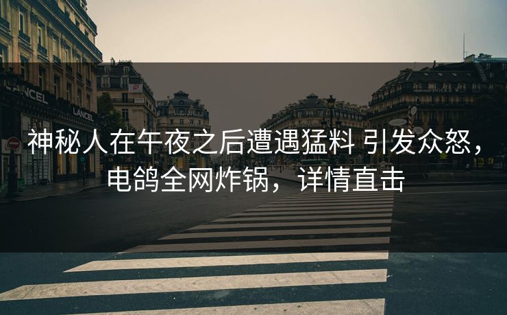 神秘人在午夜之后遭遇猛料 引发众怒，电鸽全网炸锅，详情直击
